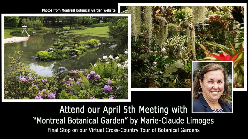 April 2022 General Meeting