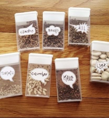 Neatly stored seeds