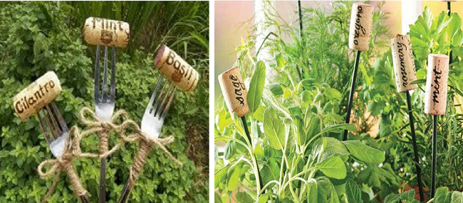 Creative herb labels